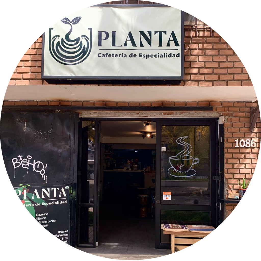 cafeteria de especialidad en talca, planta cafe talca